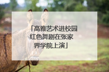 高雅艺术进校园 红色舞剧在张家界学院上演