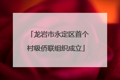 龙岩市永定区首个村级侨联组织成立