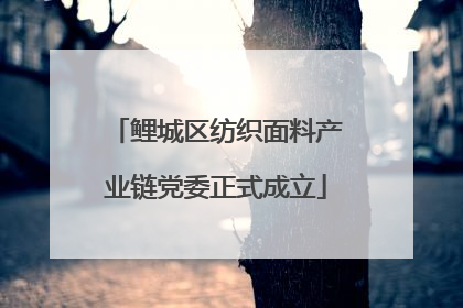 鲤城区纺织面料产业链党委正式成立
