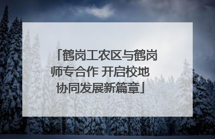 鹤岗工农区与鹤岗师专合作 开启校地协同发展新篇章