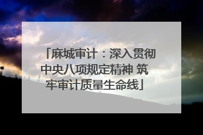 麻城审计：深入贯彻中央八项规定精神 筑牢审计质量生命线