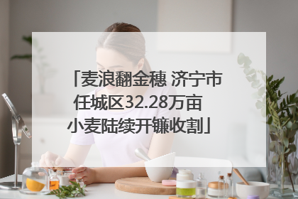 麦浪翻金穗 济宁市任城区32.28万亩小麦陆续开镰收割