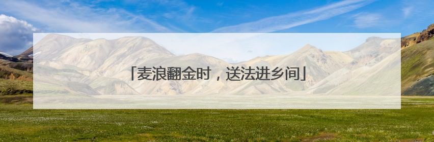 麦浪翻金时，送法进乡间
