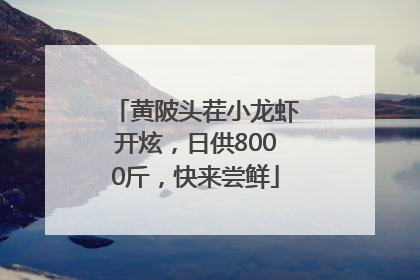 黄陂头茬小龙虾开炫，日供8000斤，快来尝鲜