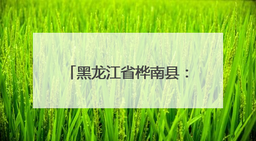 黑龙江省桦南县：精修绿韵绘新景 细护芳枝映晴空