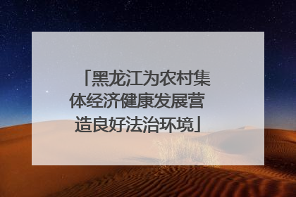 黑龙江为农村集体经济健康发展营造良好法治环境