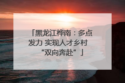 黑龙江桦南：多点发力 实现人才乡村“双向奔赴”