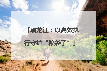 黑龙江：以高效执行守护“粮袋子”
