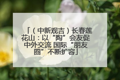 （中新观吉）长春莲花山：以“陶”会友促中外交流 国际“朋友圈”不断扩容