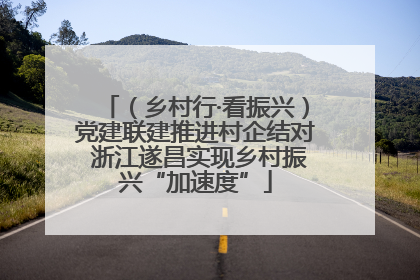 （乡村行·看振兴）党建联建推进村企结对 浙江遂昌实现乡村振兴“加速度”