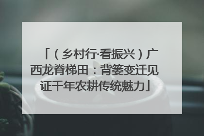 （乡村行·看振兴）广西龙脊梯田：背篓变迁见证千年农耕传统魅力