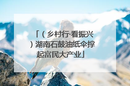 （乡村行·看振兴）湖南石鼓油纸伞撑起富民大产业