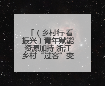 （乡村行·看振兴）青年赋能资源加持 浙江乡村“过客”变“留客”