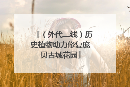 （外代二线）历史植物助力修复庞贝古城花园