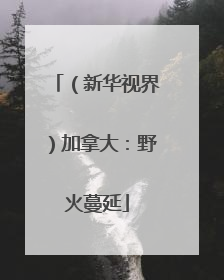 （新华视界）加拿大：野火蔓延