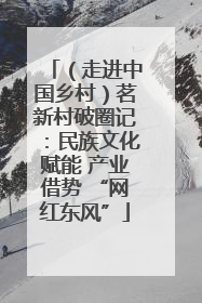 （走进中国乡村）茗新村破圈记：民族文化赋能 产业借势 “网红东风”