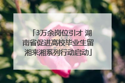 3万余岗位引才 湖南省促进高校毕业生留湘来湘系列行动启动