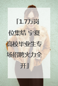 1.7万岗位集结 宁夏高校毕业生专场招聘火力全开