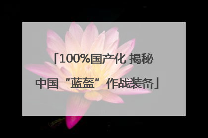 100%国产化 揭秘中国“蓝盔”作战装备