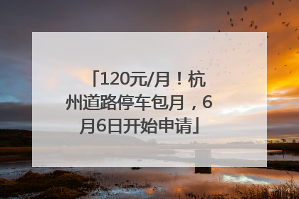 120元/月！杭州道路停车包月，6月6日开始申请