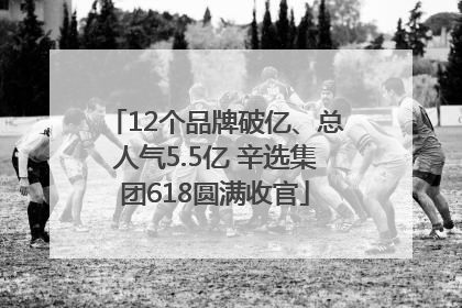 12个品牌破亿、总人气5.5亿 辛选集团618圆满收官