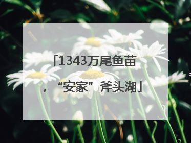 1343万尾鱼苗，“安家”斧头湖