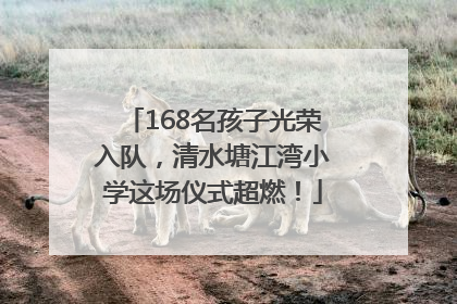 168名孩子光荣入队，清水塘江湾小学这场仪式超燃！