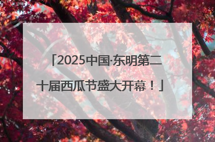 2025中国·东明第二十届西瓜节盛大开幕！