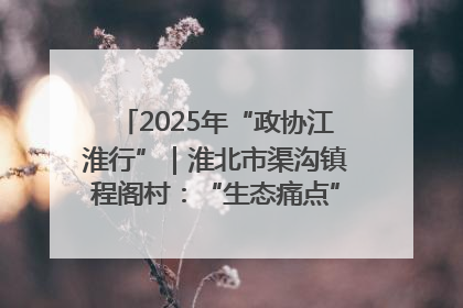 2025年“政协江淮行”｜淮北市渠沟镇程阁村：“生态痛点”变“生态景观”