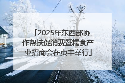 2025年东西部协作帮扶促消费暨糯食产业招商会在贞丰举行