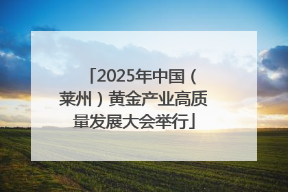 2025年中国（莱州）黄金产业高质量发展大会举行