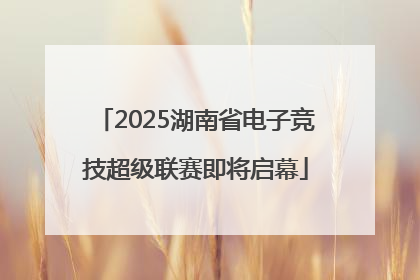 2025湖南省电子竞技超级联赛即将启幕