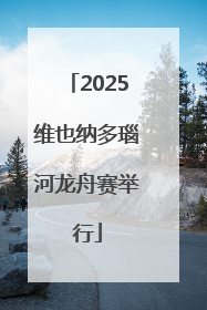 2025维也纳多瑙河龙舟赛举行