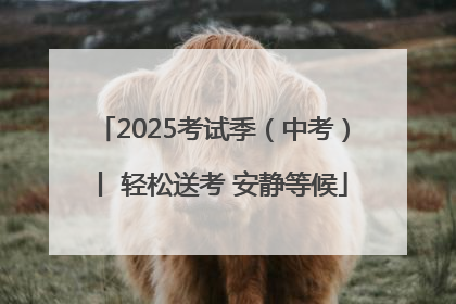 2025考试季（中考）丨 轻松送考 安静等候
