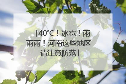 40℃！冰雹！雨雨雨！河南这些地区 请注意防范