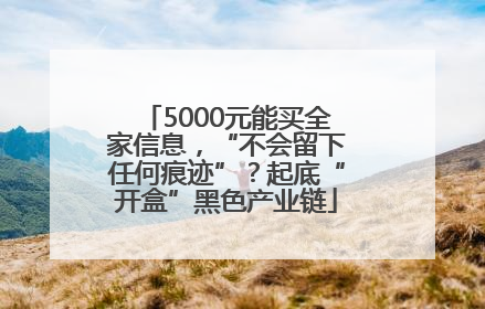 5000元能买全家信息，“不会留下任何痕迹”？起底“开盒”黑色产业链