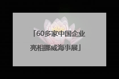 60多家中国企业亮相挪威海事展