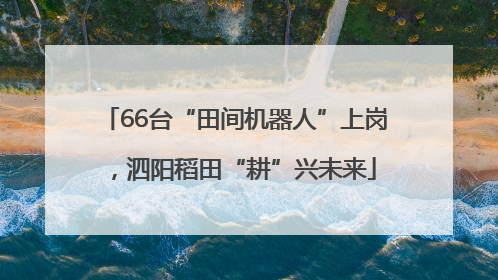 66台“田间机器人”上岗，泗阳稻田“耕”兴未来