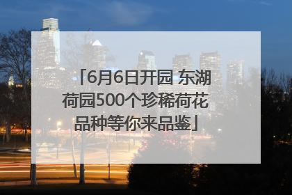 6月6日开园 东湖荷园500个珍稀荷花品种等你来品鉴