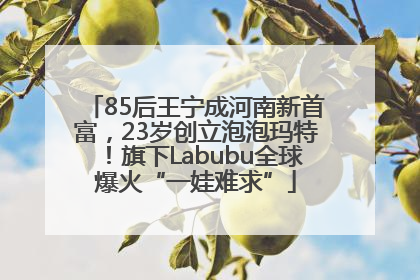 85后王宁成河南新首富，23岁创立泡泡玛特！旗下Labubu全球爆火“一娃难求”