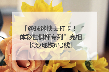 @球迷快去打卡！“体彩世俱杯专列”亮相长沙地铁6号线