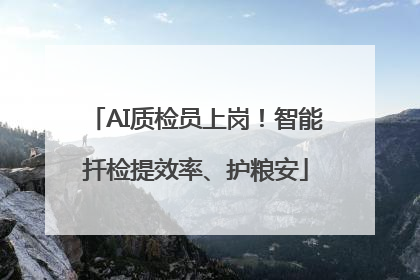 AI质检员上岗！智能扦检提效率、护粮安