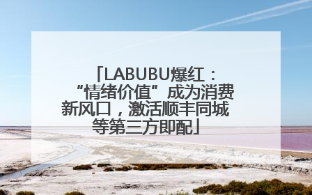 LABUBU爆红：“情绪价值”成为消费新风口，激活顺丰同城等第三方即配