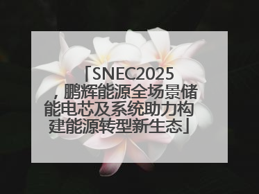 SNEC2025，鹏辉能源全场景储能电芯及系统助力构建能源转型新生态
