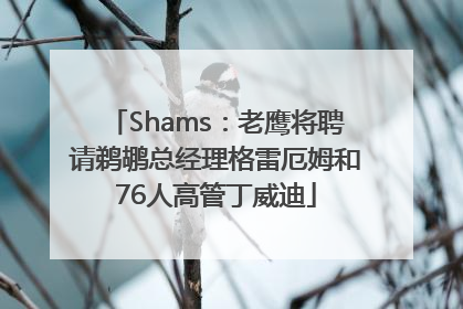Shams：老鹰将聘请鹈鹕总经理格雷厄姆和76人高管丁威迪
