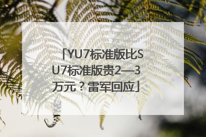 YU7标准版比SU7标准版贵2—3万元？雷军回应